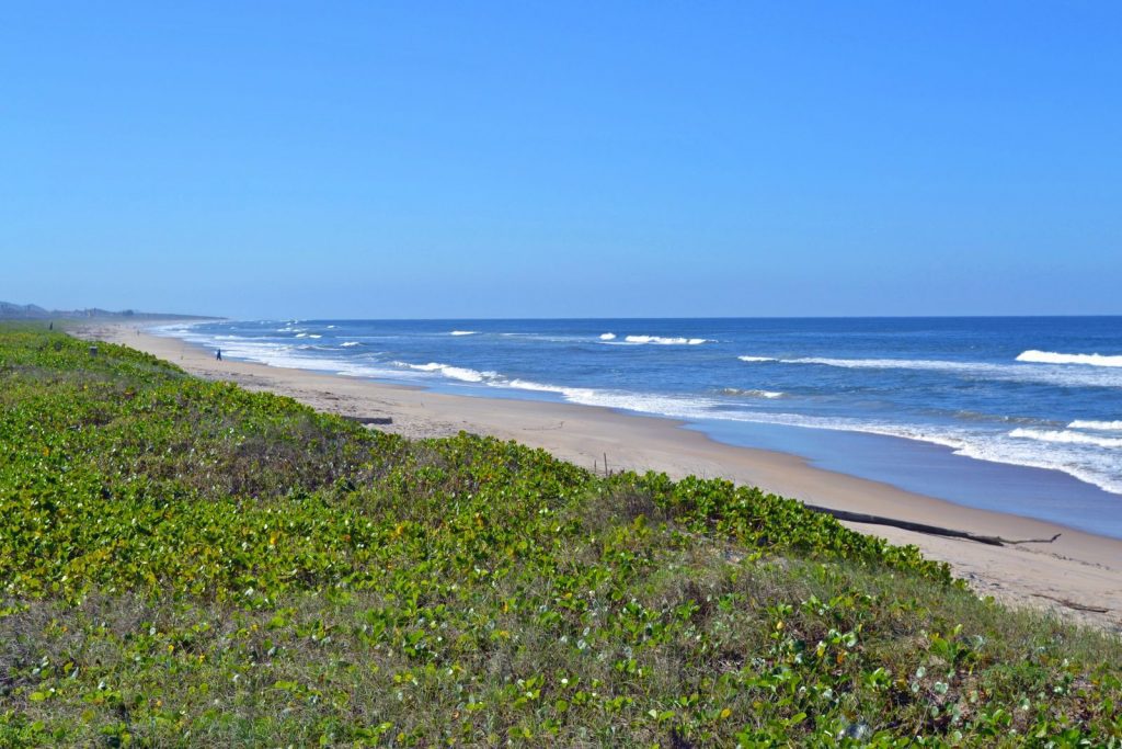 imagem de área de restinga e extensa faixa de areia em praia tendo o mar com ondas e o céu azul ao fundo